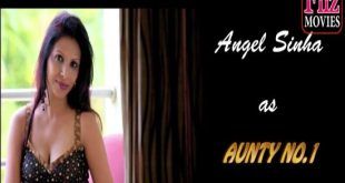 Aunty No.1 (2019) Hindi Hot Web Series